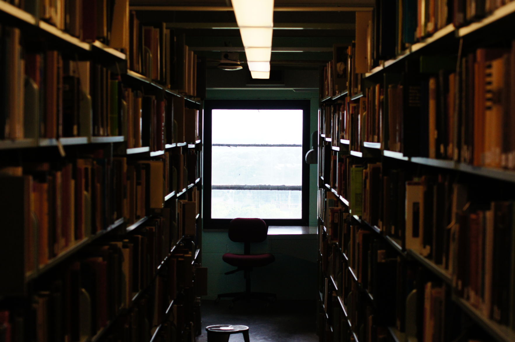 Watson Library Stacks